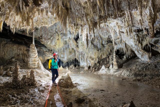 Marvel at the otherworldly landscape in Carlsbad Caverns’ Lower Cave, New Mexico Magazine