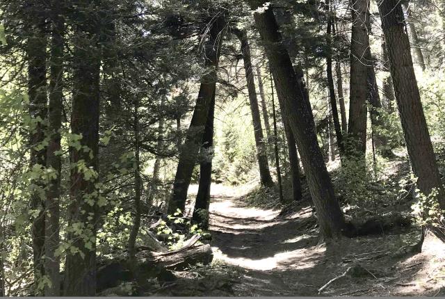 Continental Divide Hiking Trail