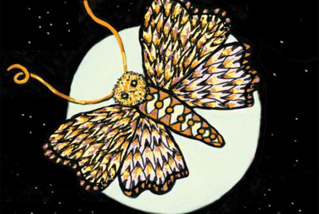 Main -hawk -moth