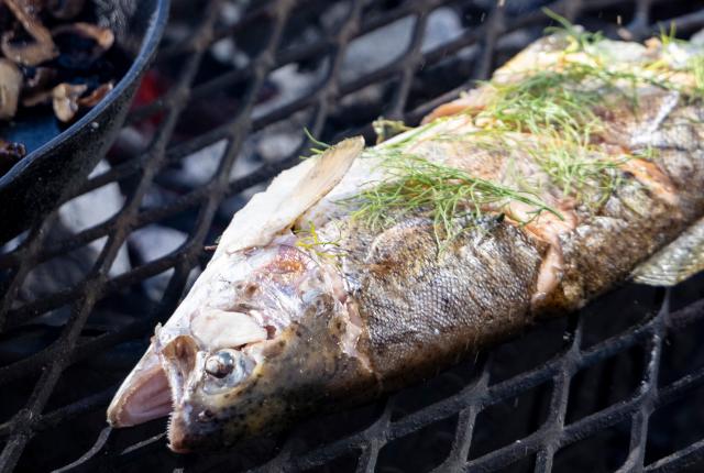 Whole Grilled Trout at Vermejo, a Ted Turner Reserve