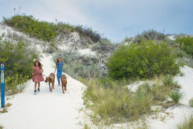 Family walking at White Sands National Park