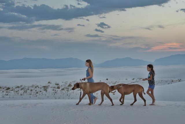 Two kids walking two dogs on the dunes at White Sands National Park