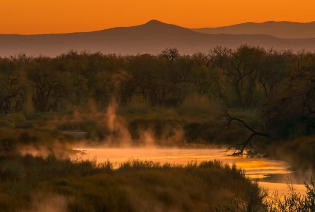 Misty Morning, Photograph by Pam Dorner, New Mexico Magazine