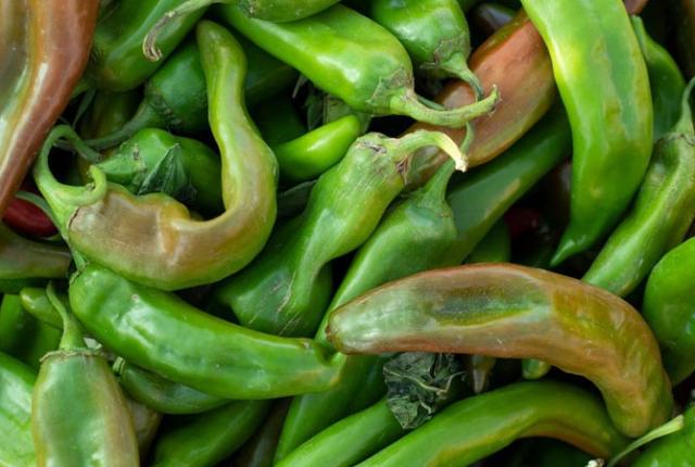 The Big Jim chile variety is notable for its size and heat, a statewide favorite for chiles rellenos, New Mexico Magazine