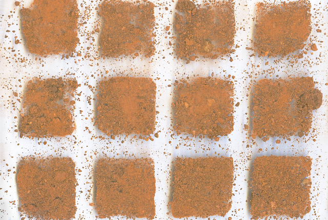 Bernice Ficek-Swenson's Oxidize.