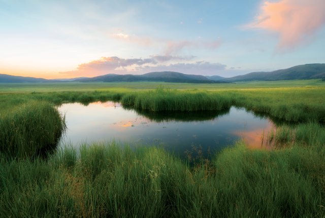 The Valles Caldera National Preserve is lush with summer grasses.
