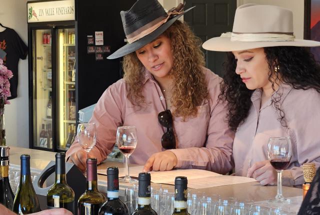 Sip at Mesilla Valley Wine & Brew Tours.