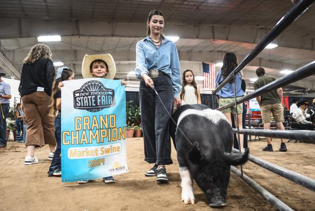Kick off fair season in Albuquerque with rides, rodeos, concerts, and unique theme days at the New Mexico State Fair.