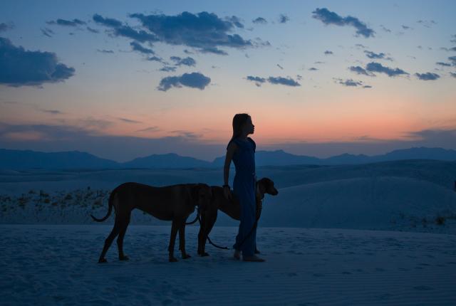 White Sands National Park at twilight.