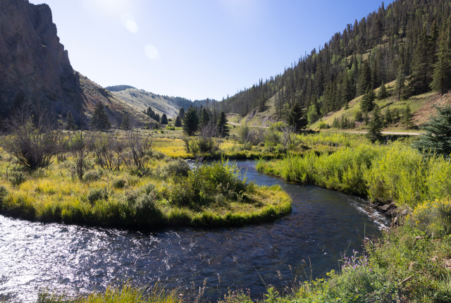 Healthy streams often meander across valleys, rather than run down a single channel.