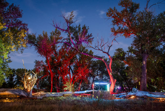 Art City’s 13 large-scale sculptures light up at night.