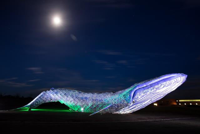 Ethyl holds the Guinness World Record for the largest recycled-plastic sculpture at 82 feet.