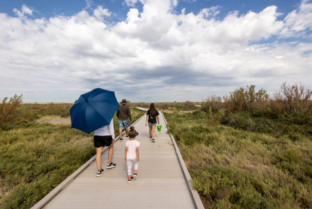 A family takes the boardwalk through wetlands at Bottomless Lakes State Park.