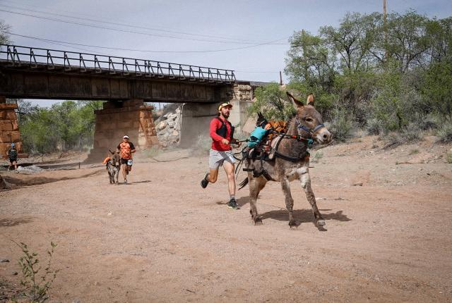 A man jogs alongside a donkey on a dusty path beneath a railway bridge.