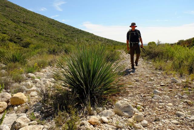 Connect with nature in the more than 50 miles of trails at Carlsbad Caverns National Park.