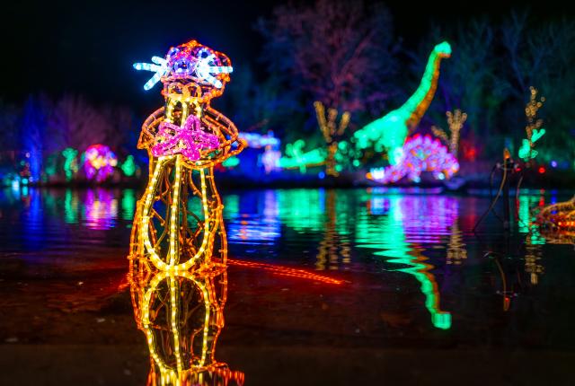 Lit animal sculpture glowing beside water at Albuquerque's River of Lights at night.
