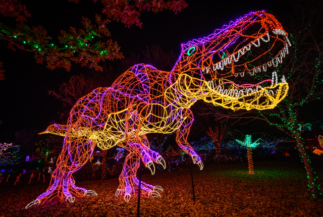 A Tyrannosaurus Rex sculpture made of colorful Christmas lights stands among other light displays and trees.