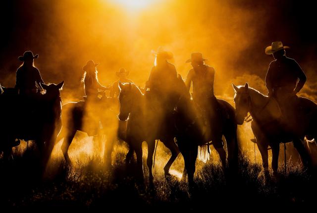 "Hard Days Ride" by Jim Shepka won 1st place in the 23rd Annual Photo Contest: New Mexico Experience category.