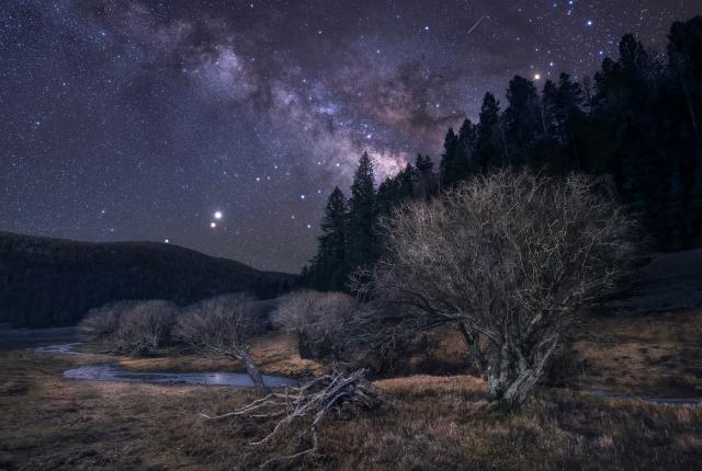 Saturn, Mars, and Jupiter rise over an apple orchard planted a century ago in the Sacramento Mountains near Cloudcroft.