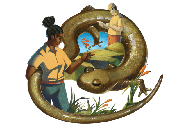 Illustration of a large salamander with two scientists studying it.