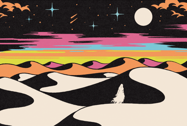 Illustration of white dunes with dark shadows beneath an orange horizon and a star-filled sky.