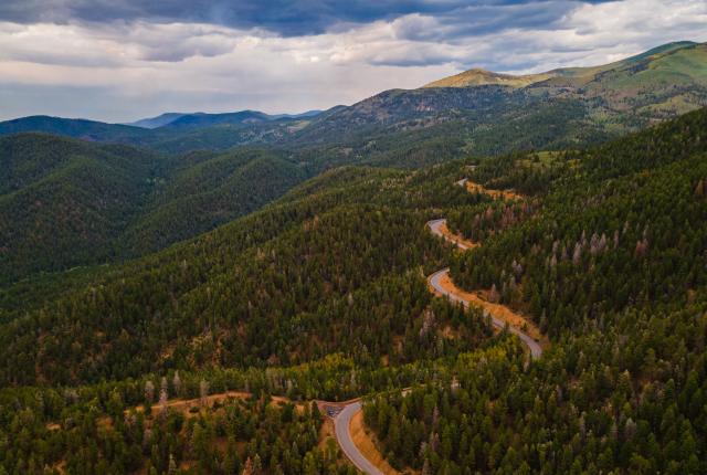 Join the celebration of National Forest Week this weekend with community events in Santa Fe and Silver City, including cleanups and guided nature walks.