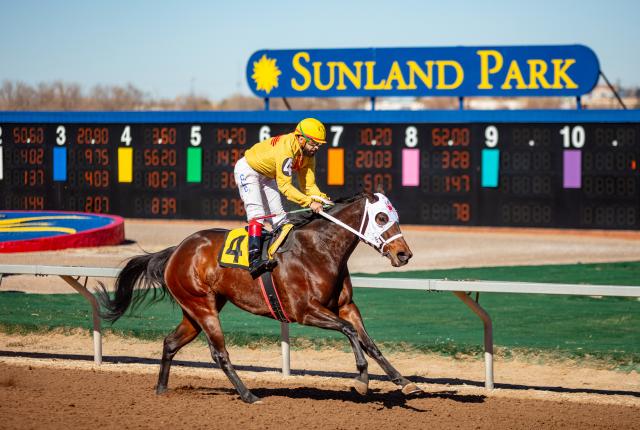 Horse around at Sunland Park Racetrack & Casino.