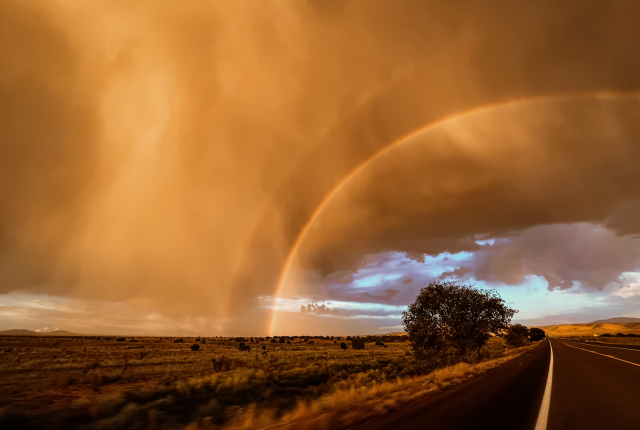Through the Storm by Trisha Hughes
