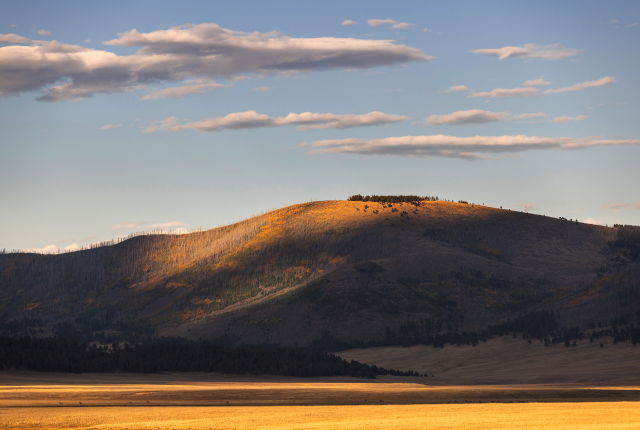 A sunlit, golden hillside in the Valles Caldera National Preserve, New Mexico, with a band of dark evergreen trees at its base and a flat, golden plain in the foreground.