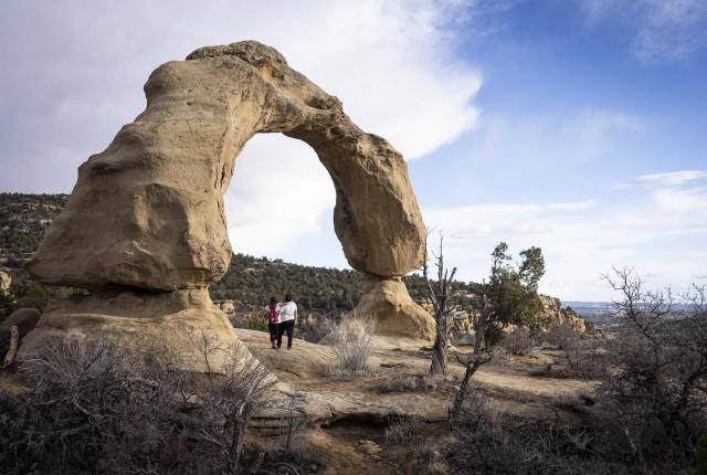 Cox Canyon Arch reaches 35 feet into the sky.
