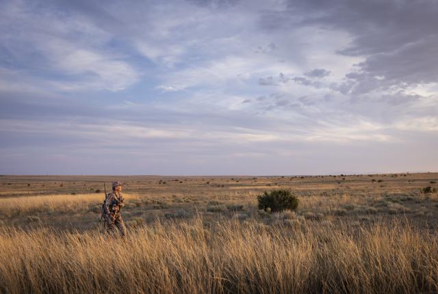 A hunter walks through tall golden grass beneath a cloudy sky on the northeastern New Mexico plains.