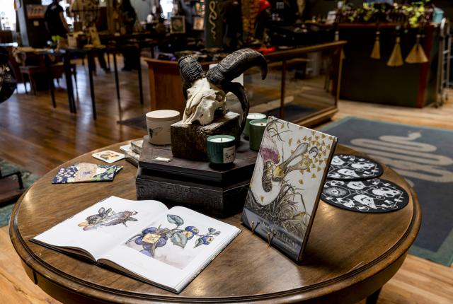 Display of ceramics, textiles, and art prints featuring natural motifs at Taxonomy shop in Taos.