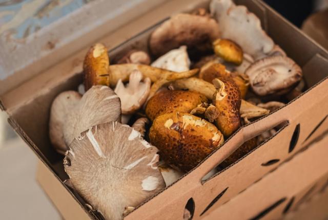 Box of assorted fresh mushrooms in a cardboard container.