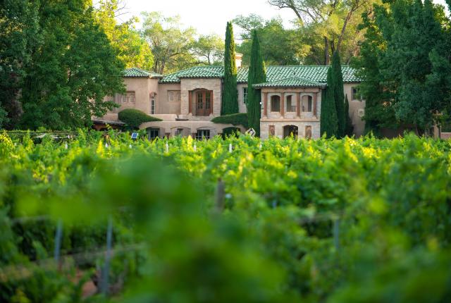 A look through the vineyards at the grounds of Casa Rondeña in Los Rancho de Albuqueque,