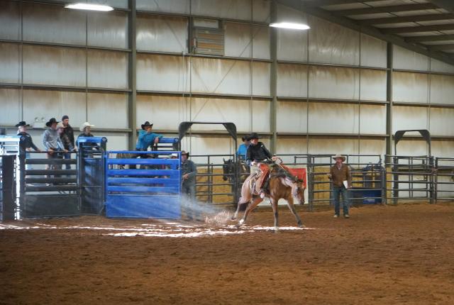 Bronc rider competing at the Harding County Ranch Rodeo.
