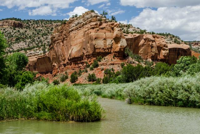 The Canadian River curves past dense riverside vegetation beneath red sandstone cliffs in Mills Canyon.