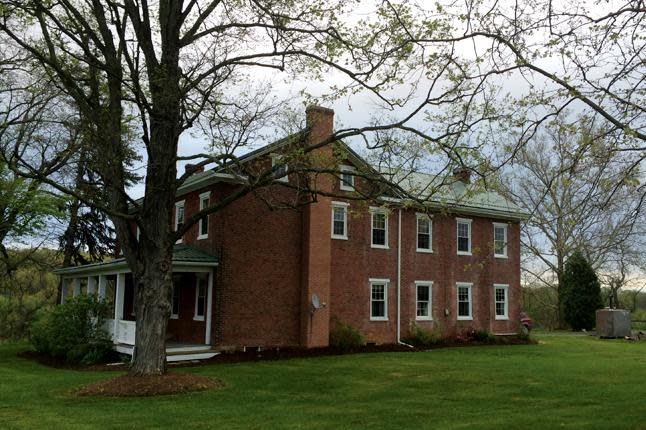 Bison Farm