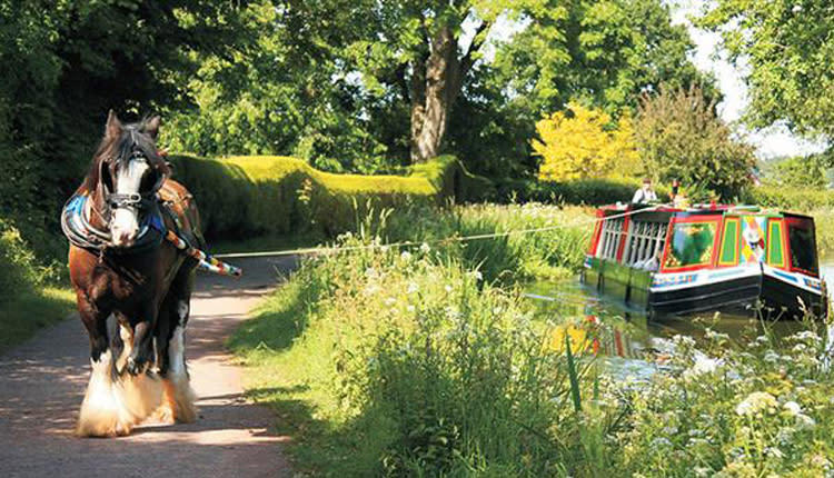 image shows horse drawn barge at tiverton canal co