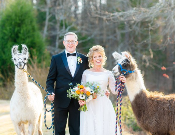 Wedding at Chapel Hill Carriage House, Couple w/ llamas