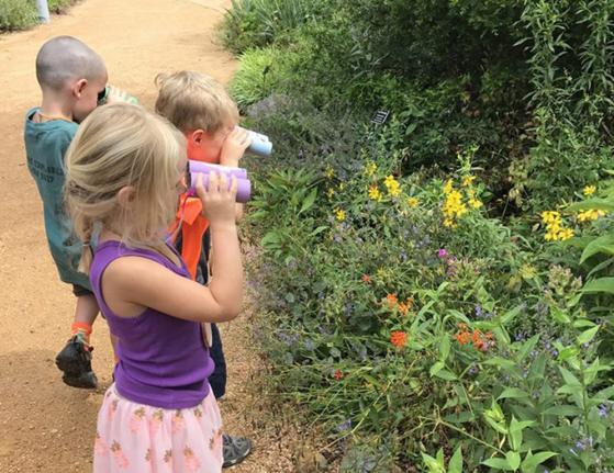 Kids Exploring at North Carolina Botanical Garden