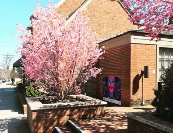 Redbud Tree near Visitors Center
