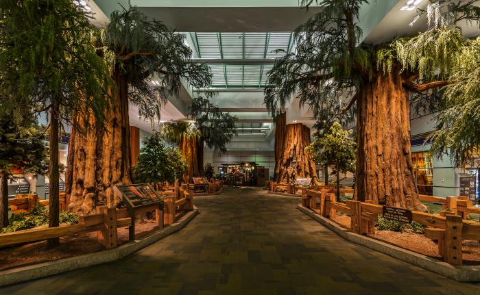 Lobby at Yosemite Airport featuring replica Sequoia trees