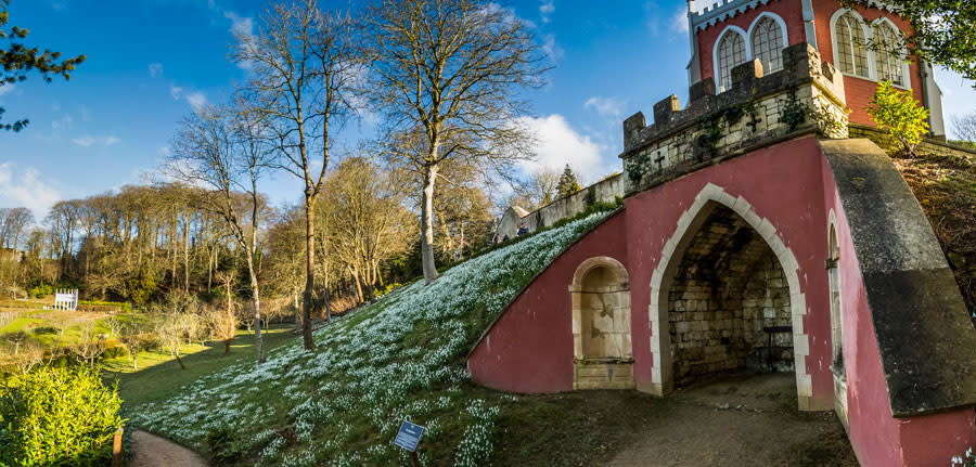 Snowdrops at Painswick Rococo Gardens