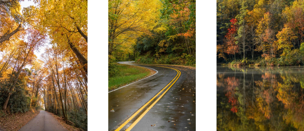 Photos by Tiho Trichkov