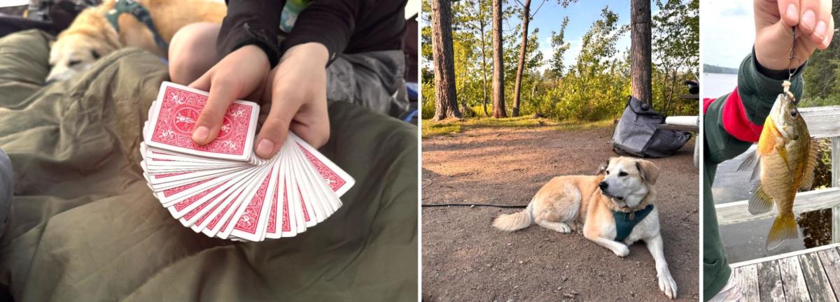 Blog - Frontcountry Camping With Kids