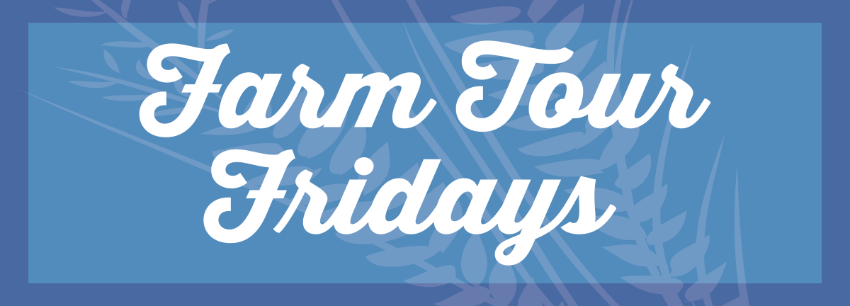 Farm Tour Fridays banner