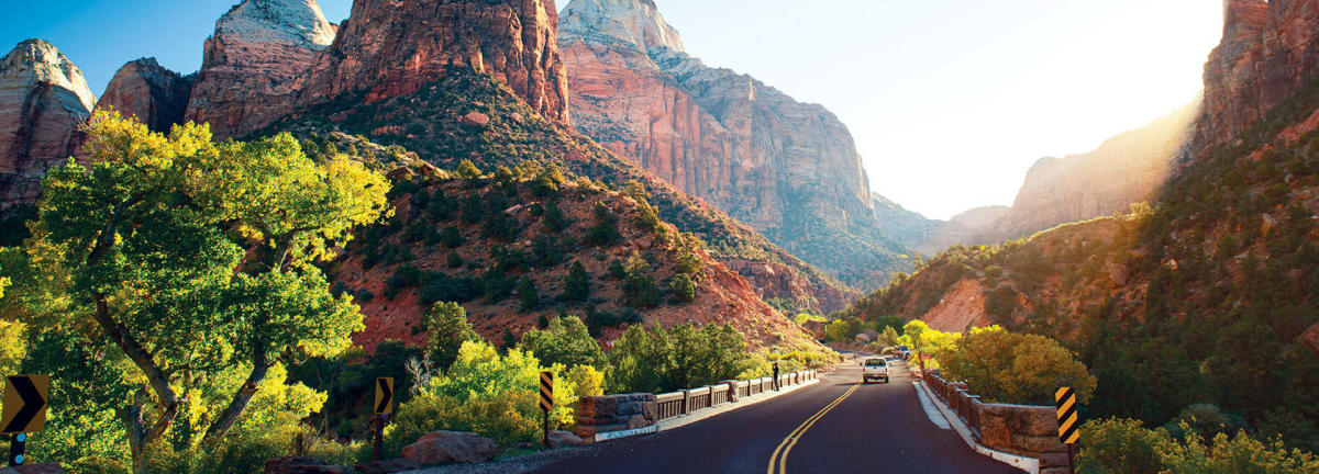 Scenic drive photo of road you follow when driving through Zion National Park.