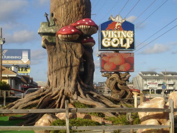 Viking Amusements Photo