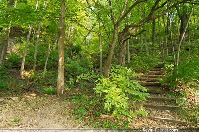 Kishwaukee forest preserve