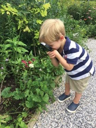 Ladew Topiary Gardens